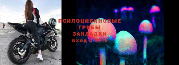 сатива Алексин