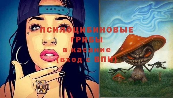 сатива Алексин