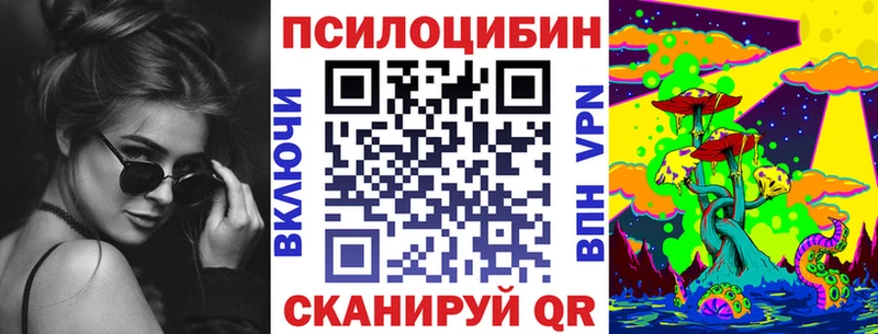 закладка  Ахтубинск  Галлюциногенные грибы GOLDEN TEACHER 