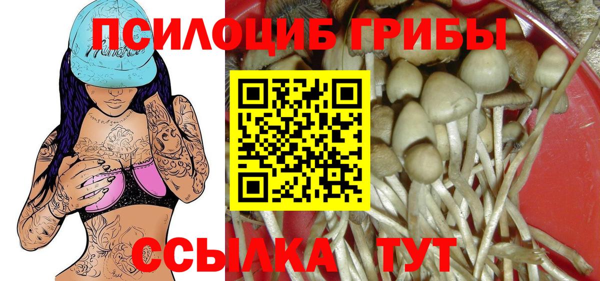 Ахтубинск  Псилоцибиновые грибы прущие грибы  Вход с VPN 